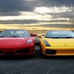 Ferrari and Lamborghini – Jumping Polar Bear