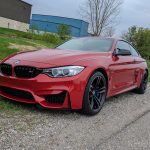 The Lingenfelter Collection – Short Shift-1